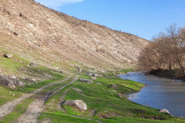 Nehir pastoral manzara — Stok fotoğraf