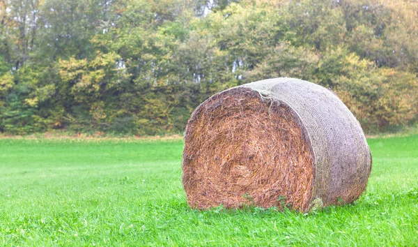 Стопка сена на лугу — стоковое фото