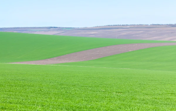 sürülmüş arazi ve yeşil alan