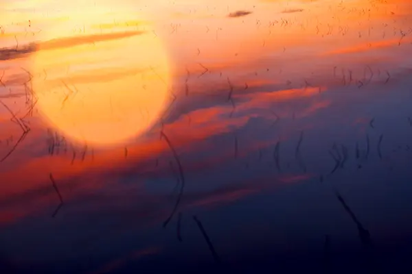 Reflectie van de zon in het water — Stockfoto