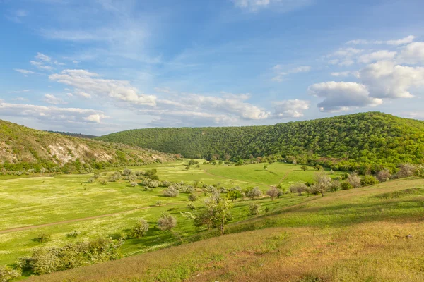 Blauer Himmel über grünen Hügeln — Stockfoto