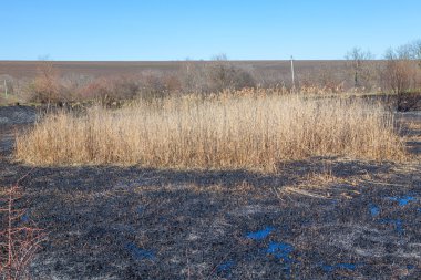 Sonra harekete geçirilir doğada
