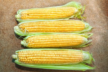 Masada mısır hasat