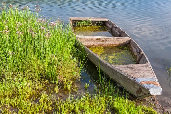 Дерев'яні кинутих човен — стокове фото