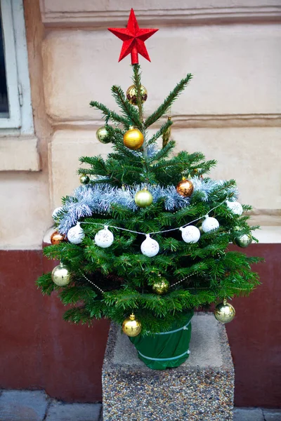 Árvore Natal Livre Com Estrela Vermelha — Fotografia de Stock