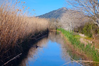 Parc Natural De S 'Albufera de Mallorca. Su kanallı doğal park 
