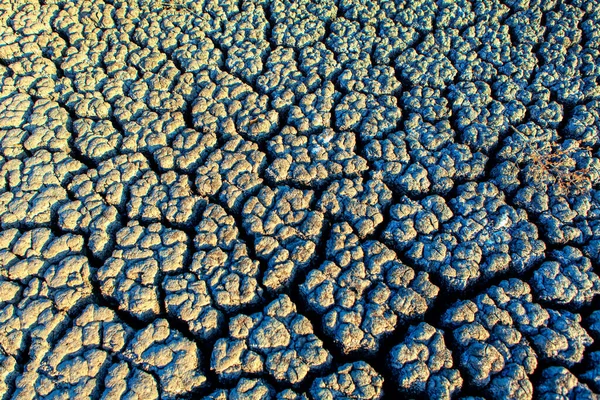 Bottom Cracks Drought Lake Dry Climate Rain — Stock Photo, Image