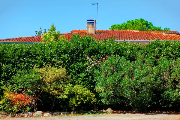 Casa Rústica Escondida Por Arbustos Verdes Techo Baldosas Con Chimenea — Foto de Stock