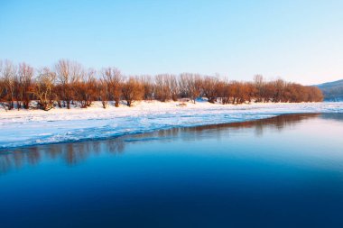 Karlı nehir kenarı manzarası. Horlayan karlı bir nehir. Güzel kış doğası 