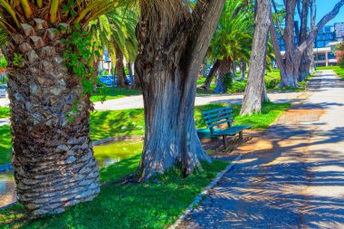 Cascais 'deki Parque de Palmela' da bir bankta. Tropikal parkta kaldırım