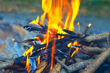 Piknik ateşiyle kamp yapmak için. Kuru günlük kaydediliyor