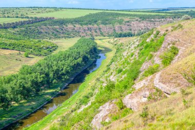Muhteşem bir nehir kenarı manzarası. Yeşil nehir vadisi 