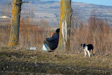 Evsiz insanlar ve köpekler. Sosyal sorunlar kavramı