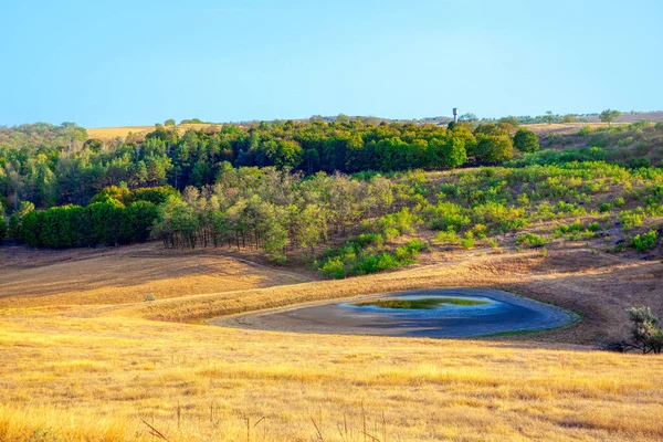 Sommerlandschaft Mit Ausgetrocknetem Teich — Stockfoto