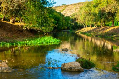  Idyllic Nehri ve yeşil orman. Nehir kenarlı görkemli bir manzara