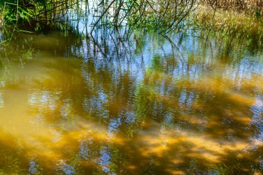 Suyun yüzeyinde ışık ve gölge