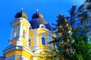 Kilise ve uzun çam ağaçları. Manastır sarıya boyanmış. 