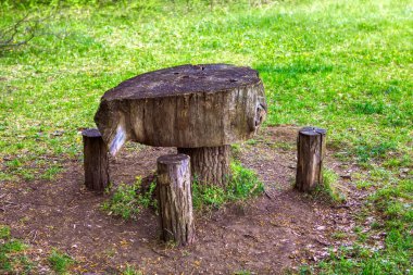 Kütük tarafından yapılmış bir masa. Kır tarzında barbekü alanı