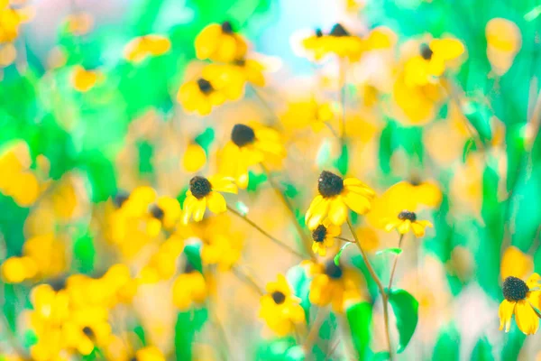 Bloemen Groene Gele Tinten Bloemen Levendige Kleuren — Stockfoto