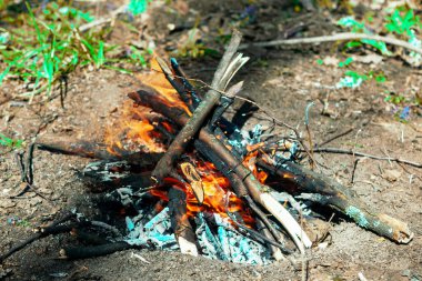 Kamp ateşi yakan odunlar. Ormanda piknik. 