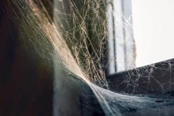 Spider Web Window Abandoned House — Stock Photo, Image