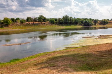 Suda adacıklar olan yaz nehir kıyısında