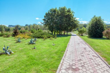 Bahar parkındaki patika. İlkbaharda yürüyorum