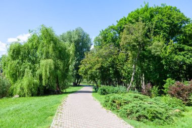 Parkta yaya geçidi var. Bahar yürüyüşü
