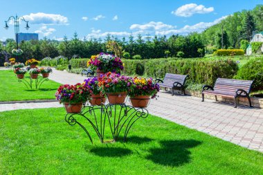  Şehir parkındaki çimenlikte saksılar. Bahar günü parkta yürüyüş