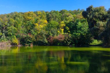İlkbaharda gölü olan cennet yeşili bir doğa. Göl suyundaki ağaçların yansıması 