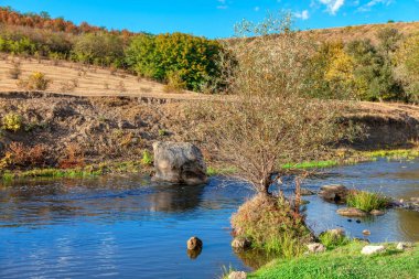 Yazın küçük bir nehrin kıyısında .
