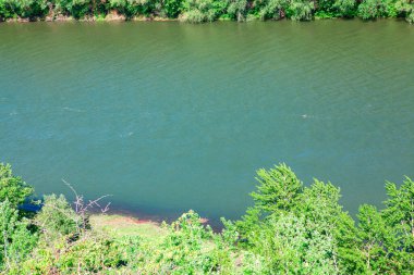 Yukarıdan nehir manzarası. Yeşil nehir kıyısı 