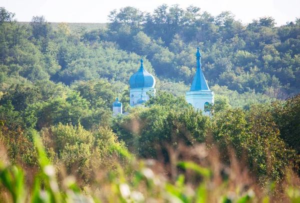 Church Domes Treetops Blue Cupola Forest — Stock Photo, Image
