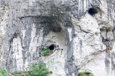 Doğal kayalardaki delikler, kartallar için yuva. Yırtıcı kuşların yaşam alanı