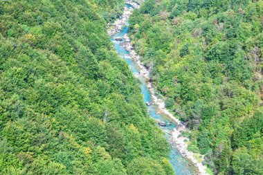 Dağ nehri ormanla çevrili. Karadağ 'daki Tara nehri ve park alanının havadan görüntüsü