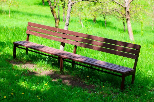 Groene Weide Schaduw Zitten Geen Mensen Het Park — Stockfoto