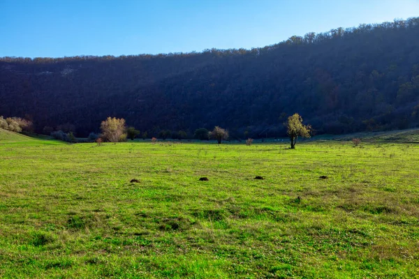 Grande Prado Verde Frente Colina Parques Naturais Primavera Molehills Naturais — Fotografia de Stock