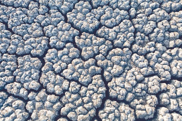Arid Pozemek Pozadí Důsledky Globálního Oteplování Suché Jezero Horkém Létě — Stock fotografie