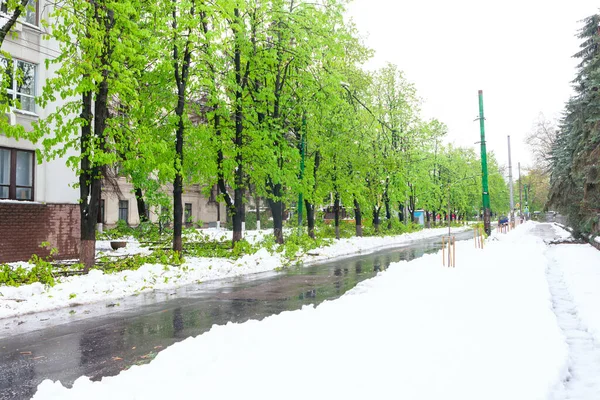 Stadtstraße Mit Schmelzendem Schnee Unerwarteter Schneefall Frühling — Stockfoto