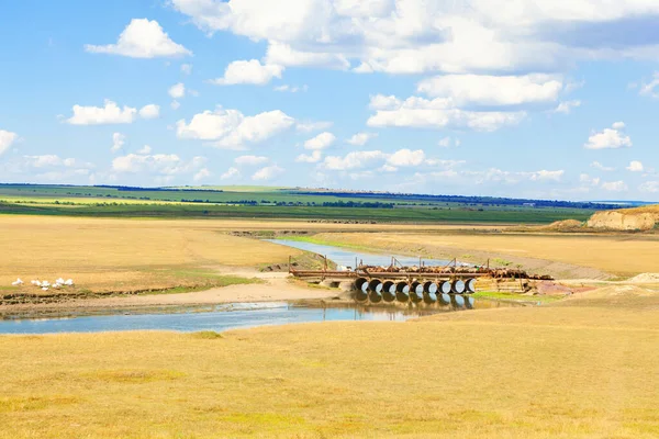 Tierras Agrícolas Verano Ribera Rústica Verano Ganado Puente Pueblo —  Fotos de Stock