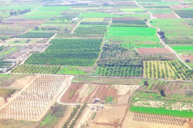 Mandalina bahçeleri hava manzaralı. İspanyol tarım arazileri ve bahçeleri yukarıdan görünüyor 