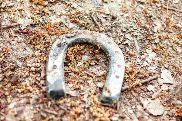 Herradura Caballo Suelo Símbolo Herradura Buena Suerte —  Fotos de Stock