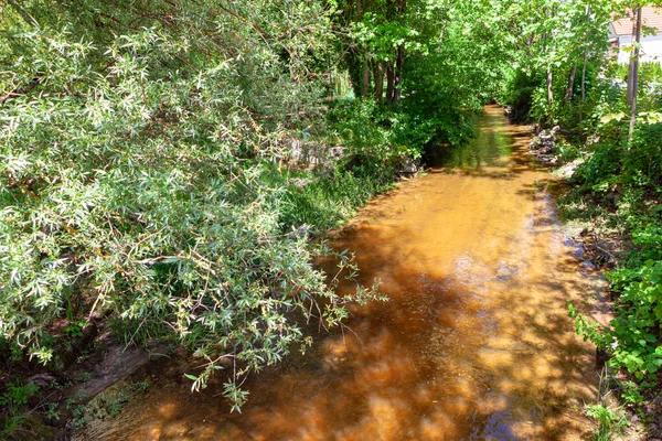 Brook with muddy water . Flowing water in the park