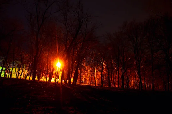 Luz Calle Parque Durante Noche — Foto de Stock