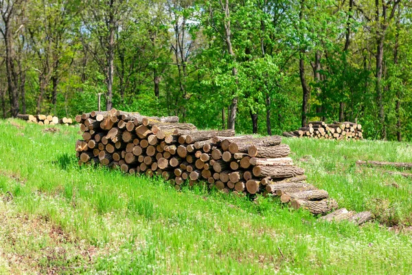 Staplade Stockar Skogen Träindustri Högen Med Ved — Stockfoto