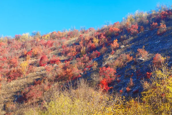 Colina Con Arbustos Rojos Otoño Colorido Monte Rocoso Temporada Otoño —  Fotos de Stock