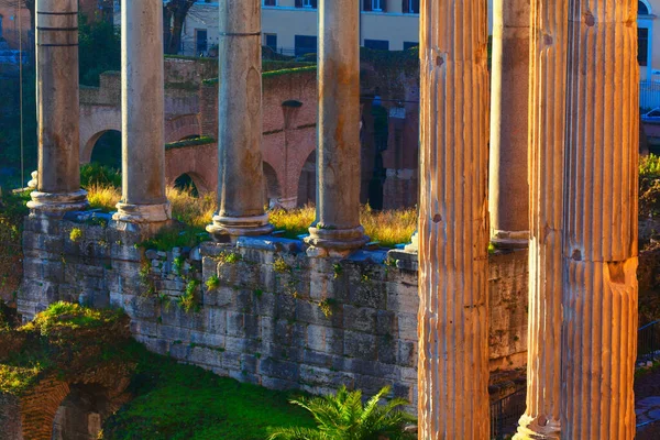 Columnas Del Foro Romano Roma Lazio Italia Ruinas Arquitectura Antigua — Foto de Stock