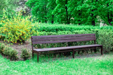 Parktaki ahşap bank. Süslü bahçeli yeşil park. Koltukta kimse yok. 