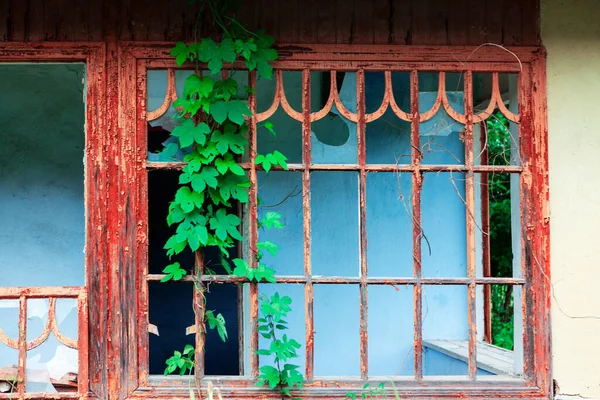 废弃房屋的破木窗 — 图库照片