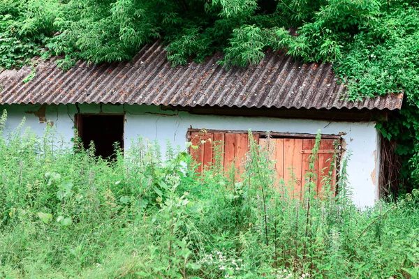 Zarośnięty Opuszczony Dom Wiosce — Zdjęcie stockowe